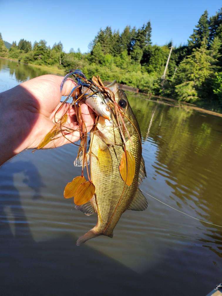 Noti Creek Reservoir Fishing Reports