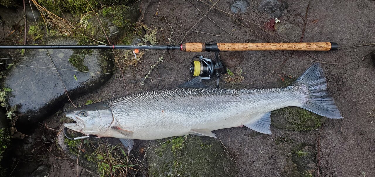 Shimano Scimitar Salmon/Steelhead Spinning Rod, 9'6 Length