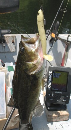 bass on hand poured swimbait.jpg