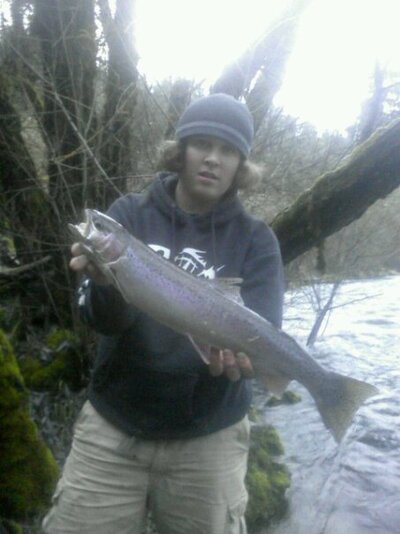 steelhead.jpg