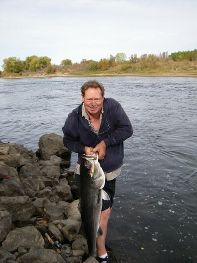 Stripers on the surf