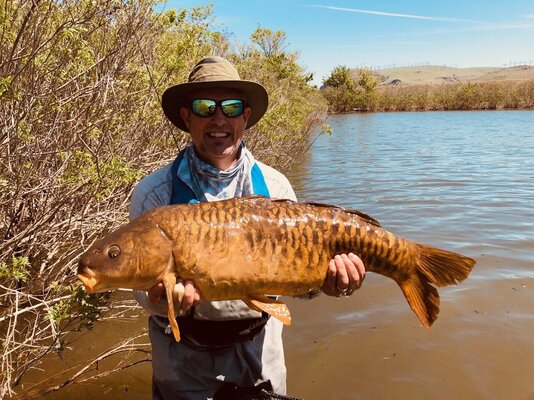 22 lb Mirror Carp.jpg