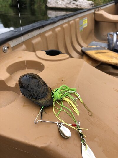 Devils Lake bass