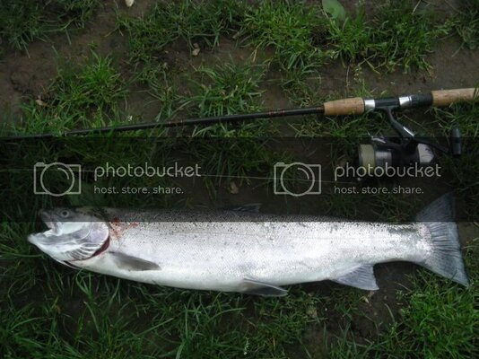 2010fishingpicsmoreSteelies005.jpg