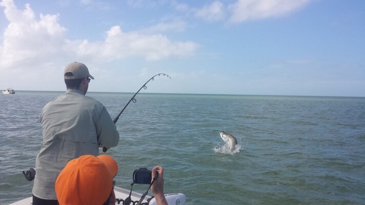 1415tarpon1-1024x576.jpg