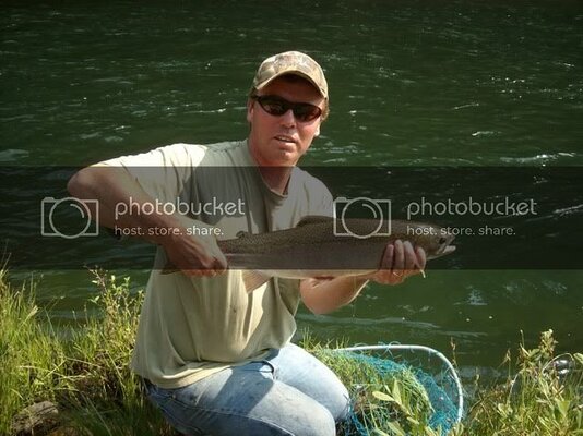 steelhead004-1.jpg