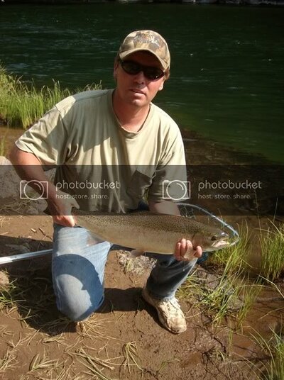 steelhead008-1.jpg