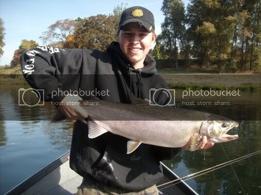 steelhead026.jpg