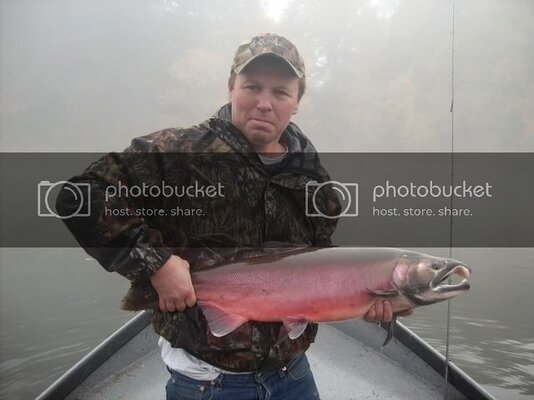 steelhead013.jpg