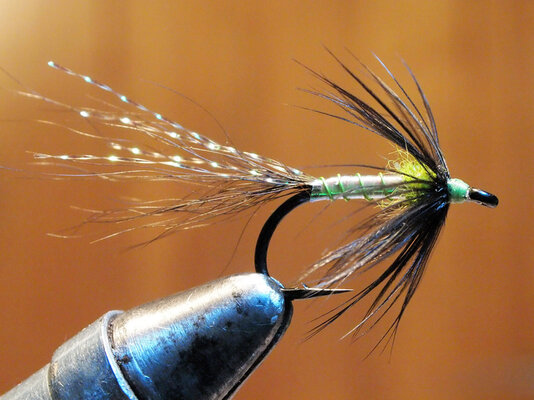 salmon890r2.jpg