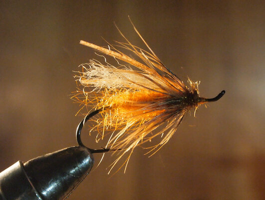 o_caddis-894.jpg