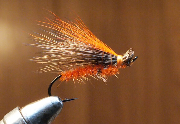 o_caddis-903.jpg