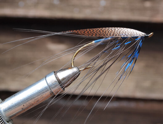 blue-spey-875-P9172077.jpg