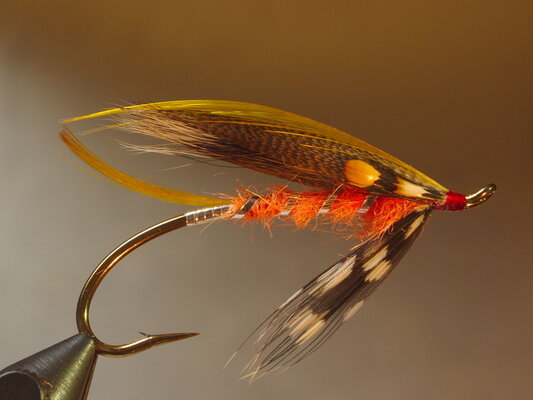 golden_edge_orange_fly_d2332.jpg