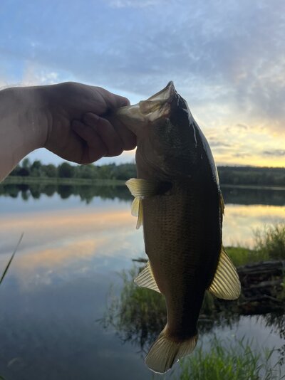 Bass out of the Vernonia pond