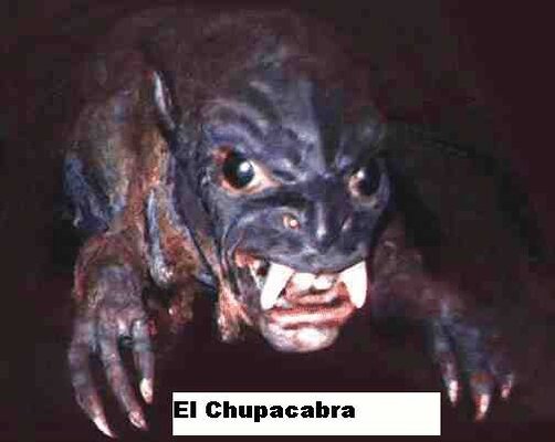 el-chupacabra.jpg