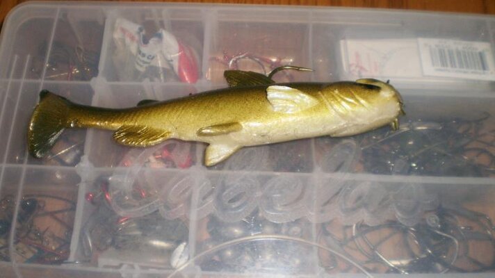 bullhead swimbait 002.jpg