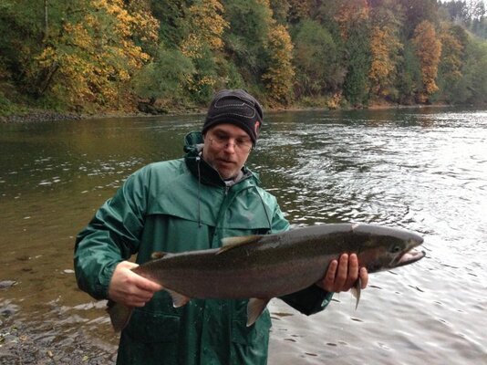 Clackamas steelhead 2.jpg