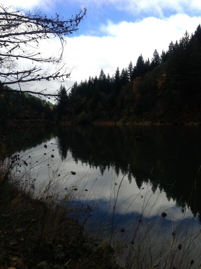 Mercer Res November 4 2012 019.jpg