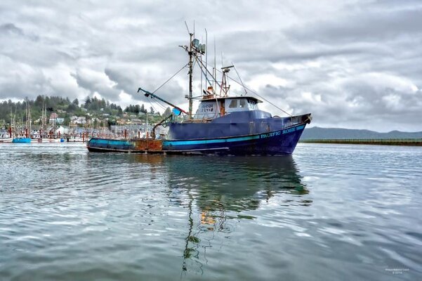 Pacific Rose heads for open water.jpg