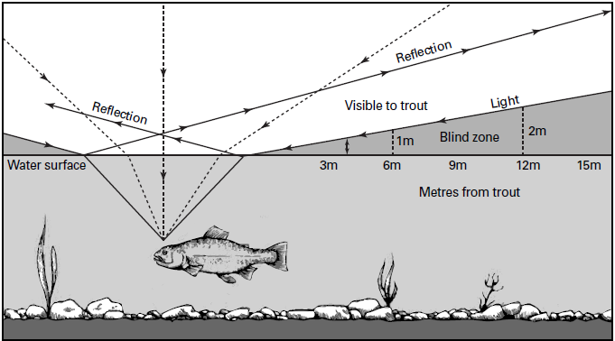 A-Trouts-Field-of-Vision.PNG