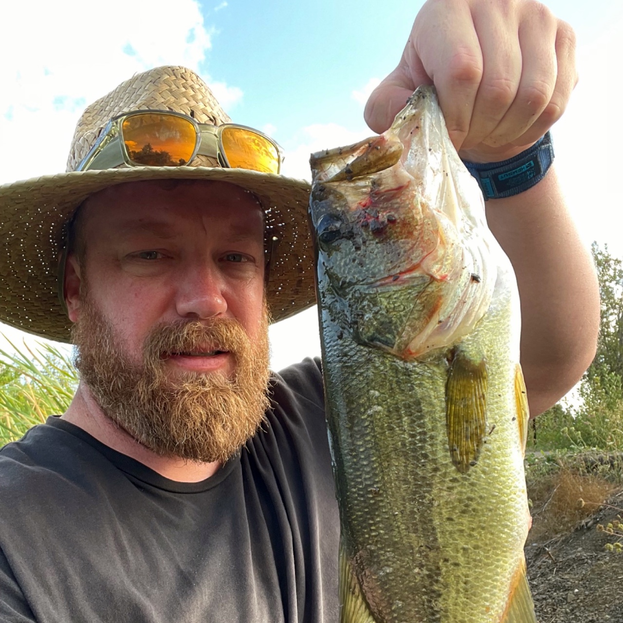 Cheadle lake in Lebanon. Caught on chatter bait.