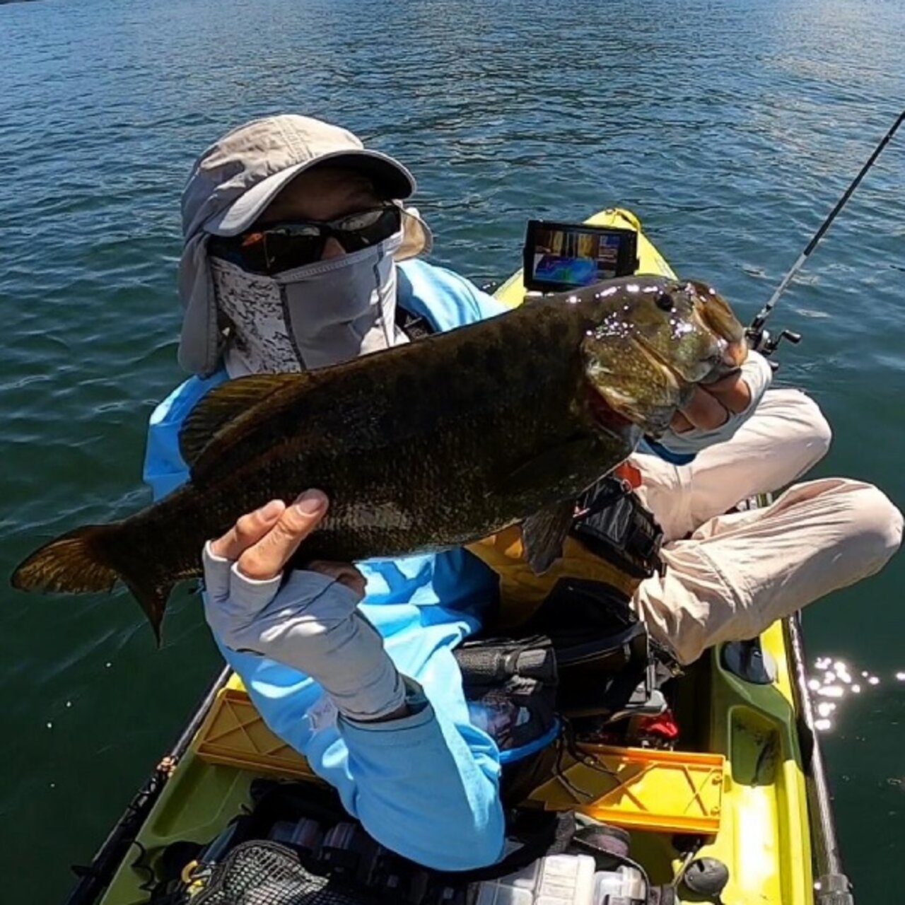 5lb pig of a smallmouth!