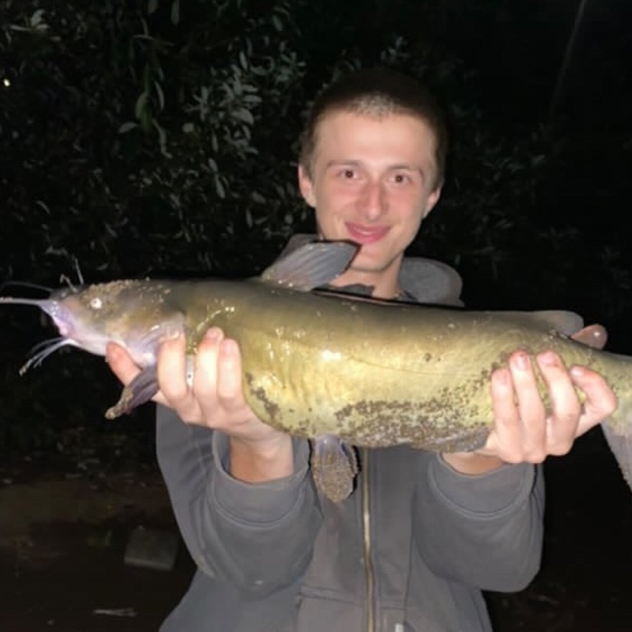 Upper Willamette system catfish